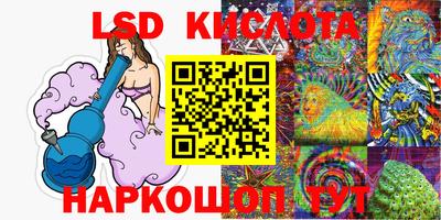 крисы Кимры